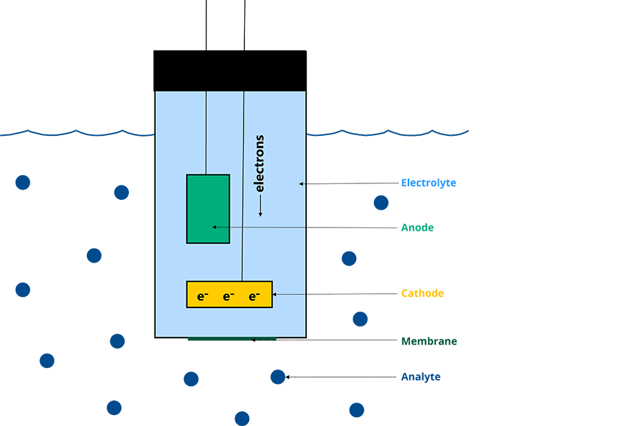 Amperometric sensor operation diagram