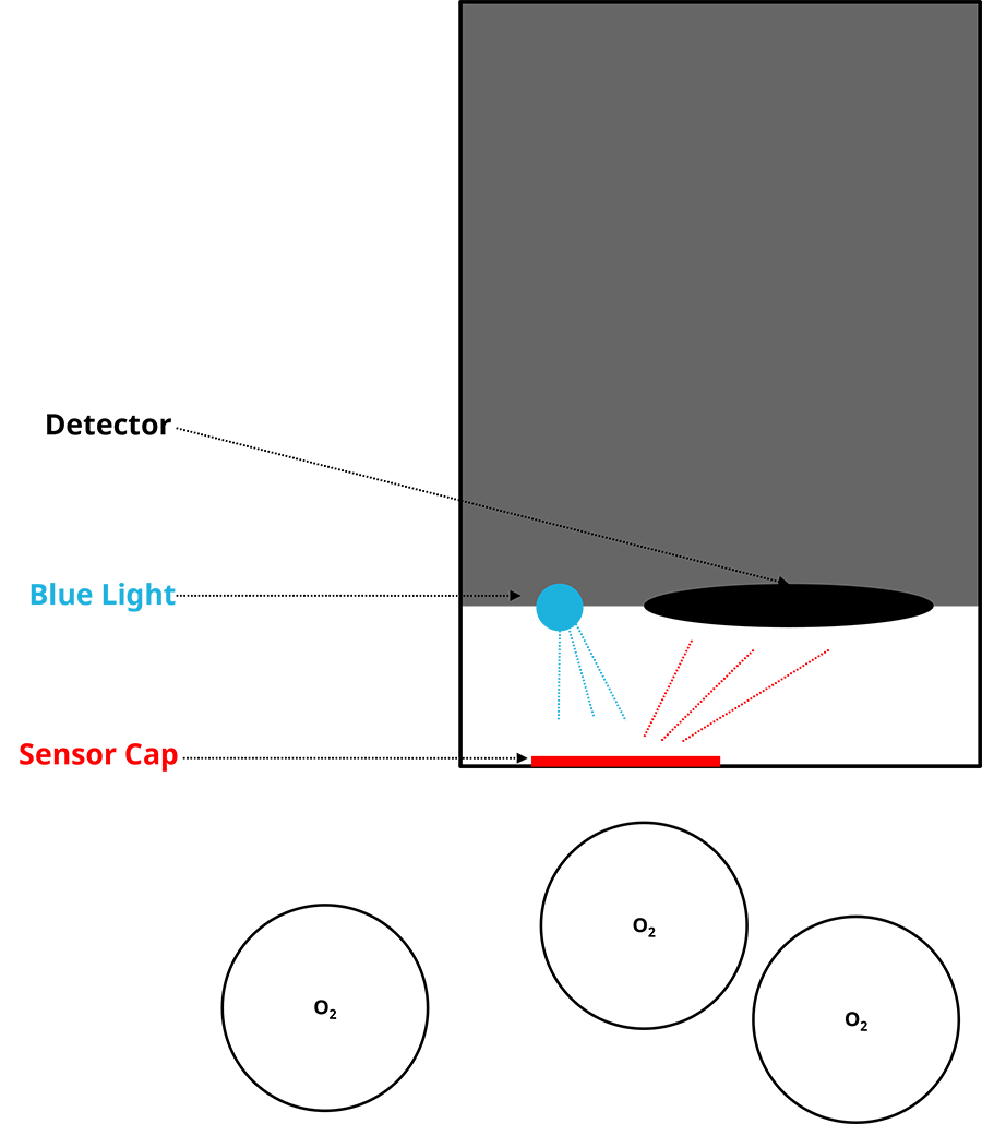 Optical DO sensor working principle